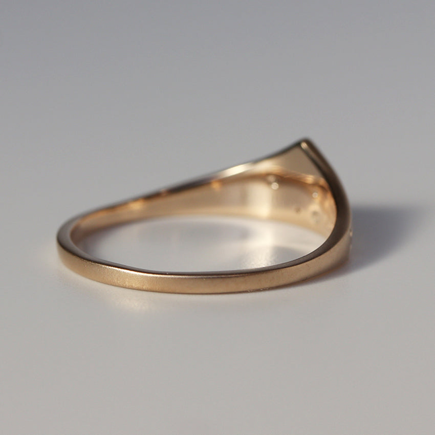 STARRY FUJI RING
